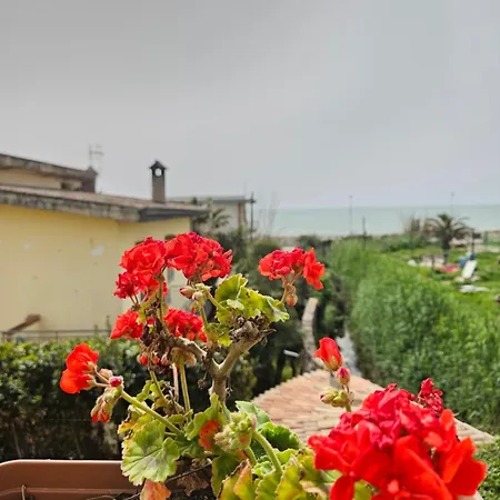 Zeus Amalfi Coast アパート *